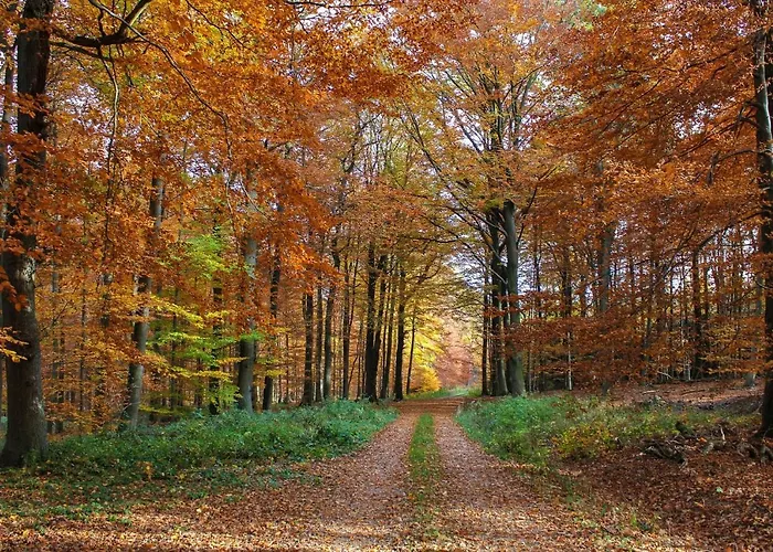 Pensjonat Casa Do Comendador 3*