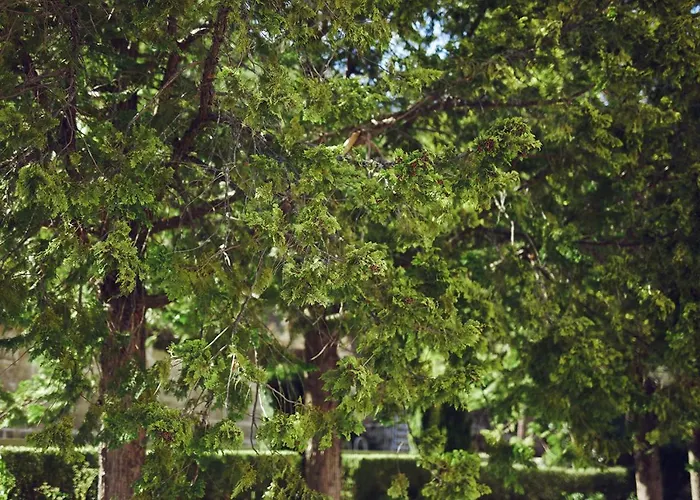 Casa Do Comendador בית הארחה מנטגאס